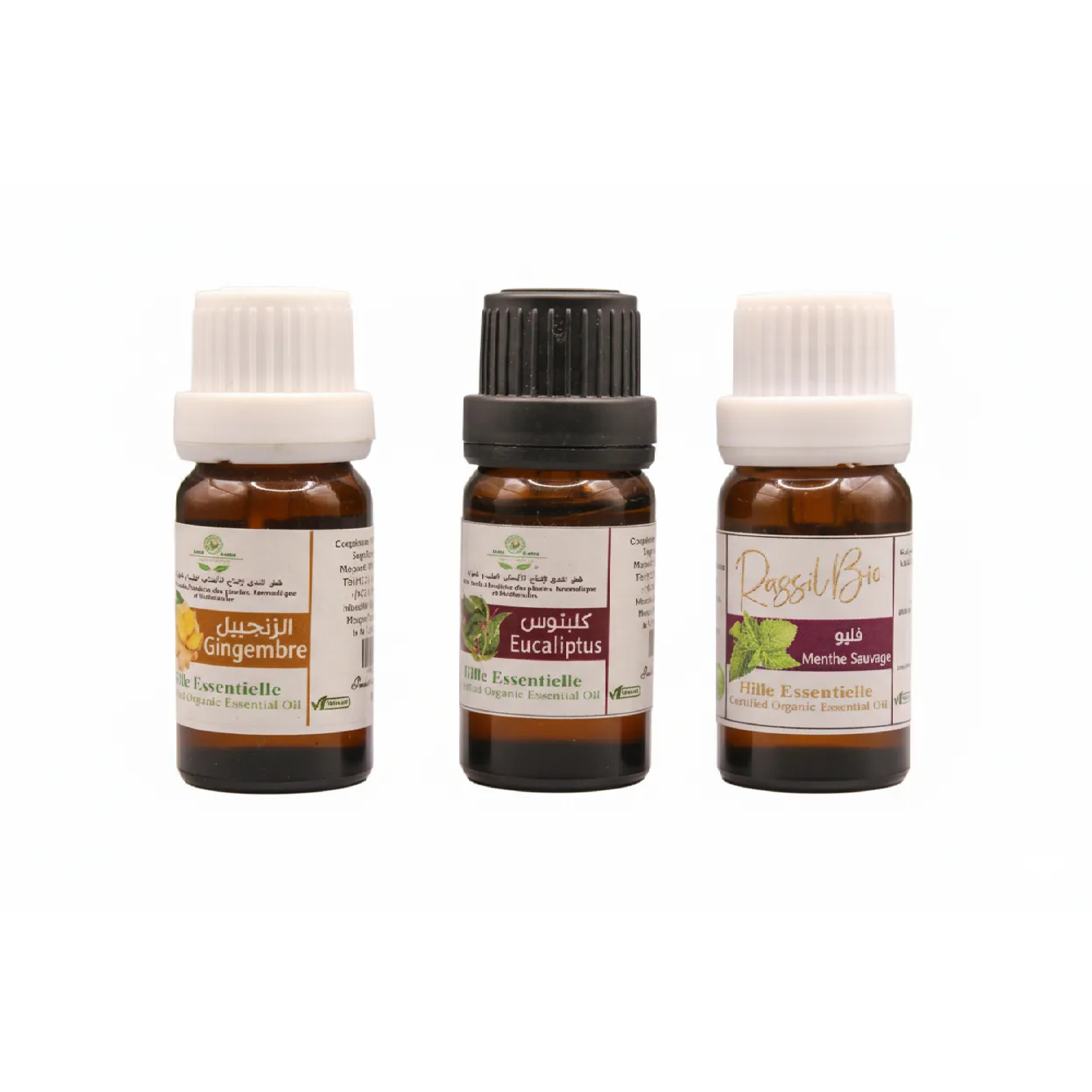 Lot d’Huiles Essentielles Naturelles – Gingembre, Eucalyptus & Menthe Sauvage (3 x 10 ml)